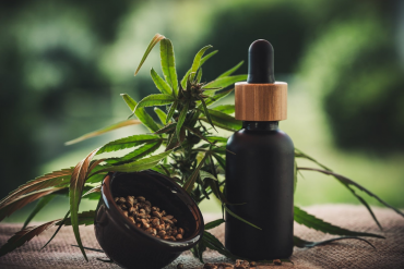25 Best CBD Pet Tincture to Try in 2021 wallpaper